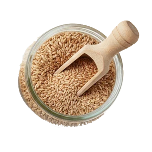 تغذیه سالم